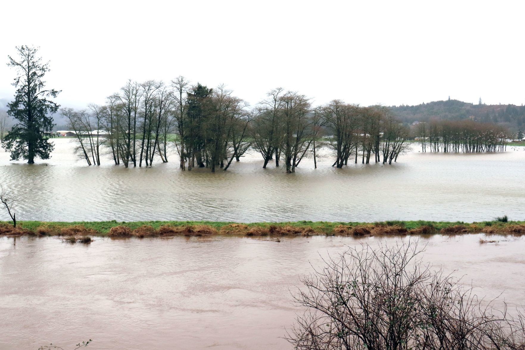 Tillamook River Road flooding.tif